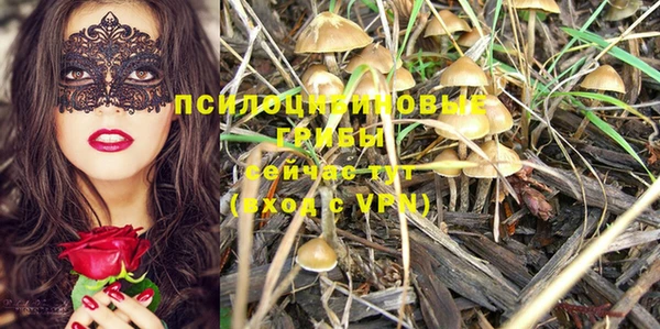 гашик Армянск