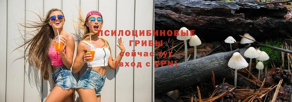 прущие грибы Арсеньев