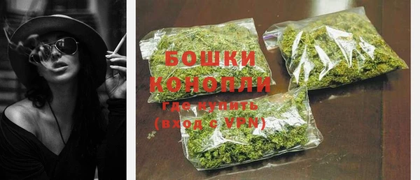 прущие грибы Арсеньев